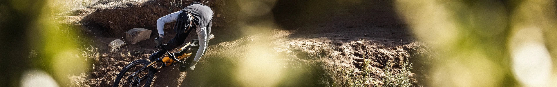 Herbstgold jetzt in den Herbst starten. Bikes und E-Bikes kaufen