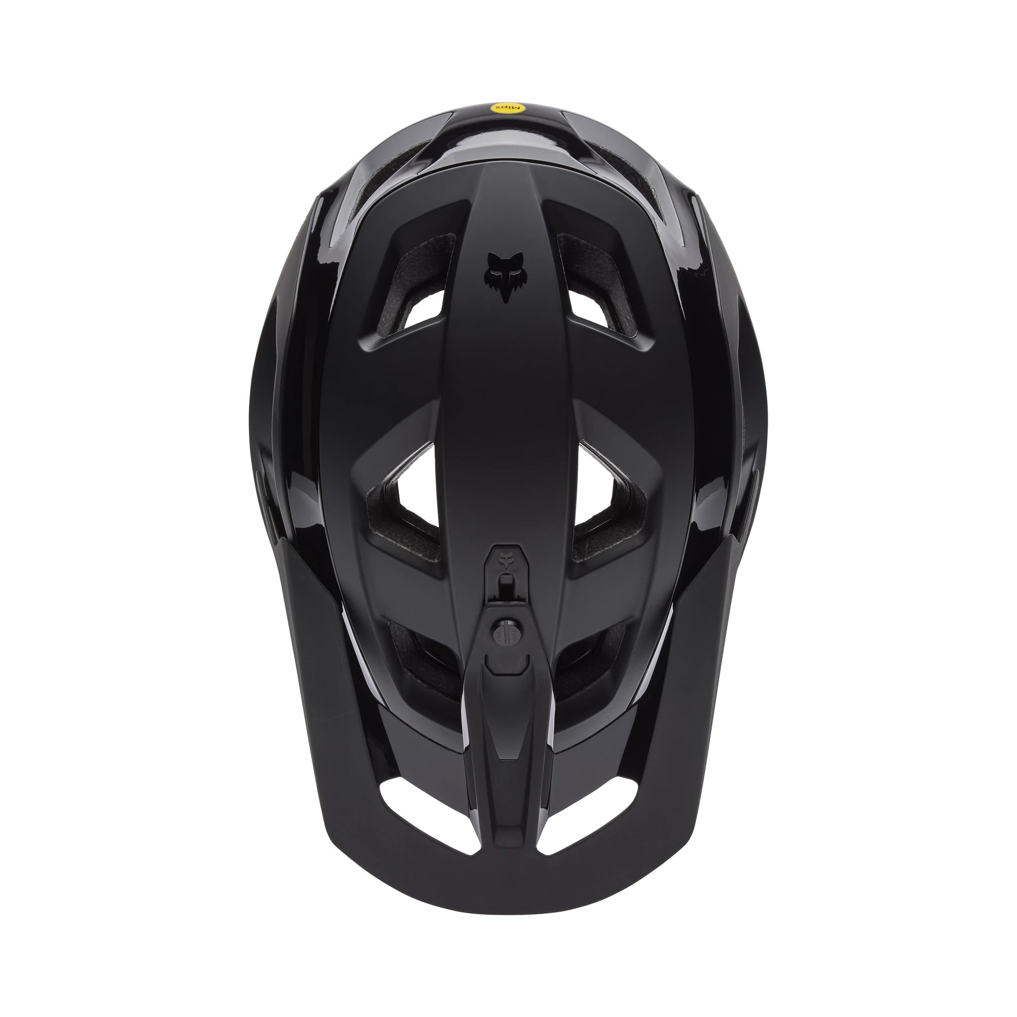 Fox Speedframe RS CE - Liquid-Life #Wähle Deine Farbe_Matte Black