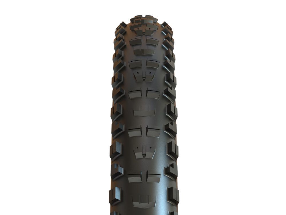 Maxxis Minion DHR2 WT DH TR