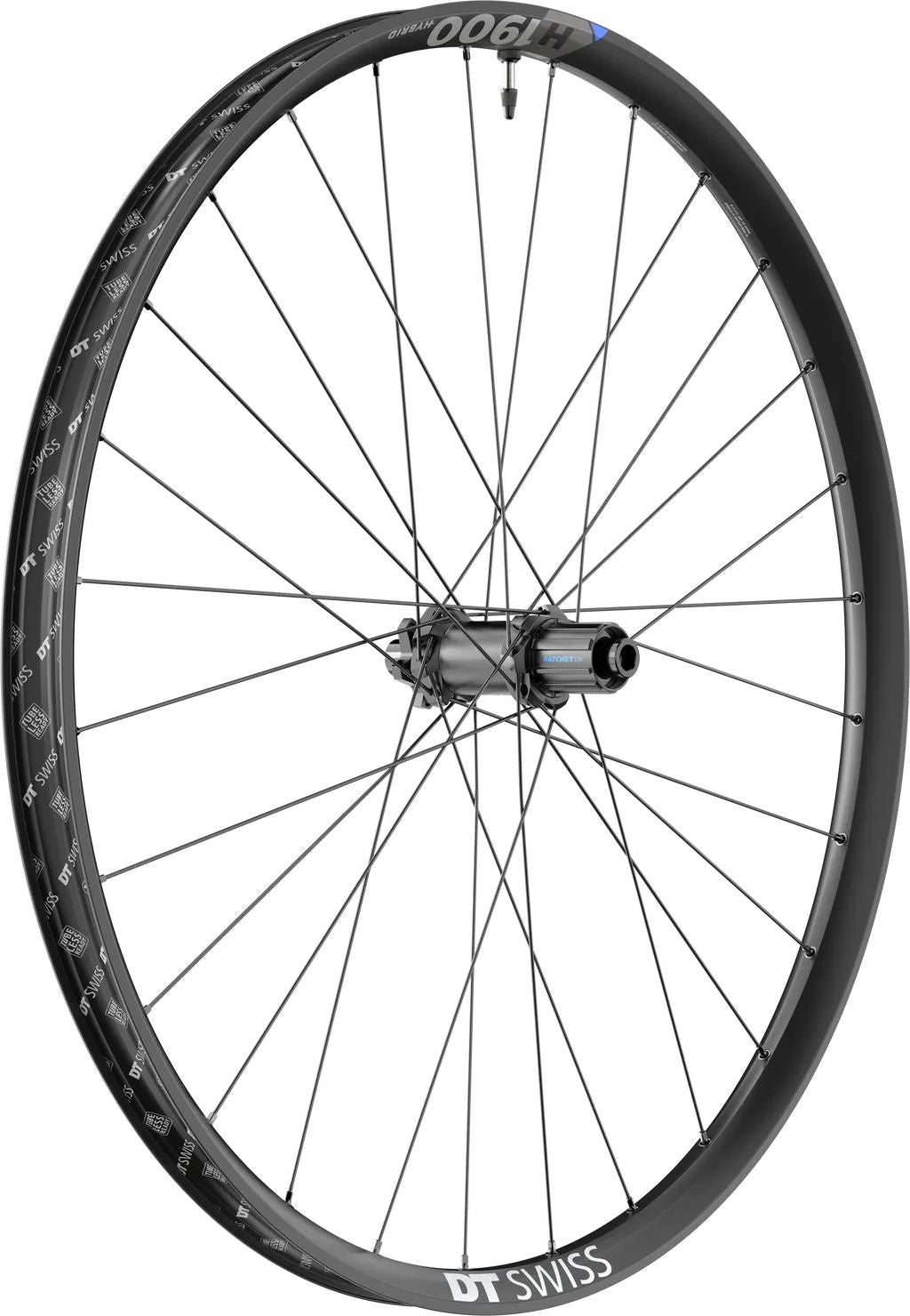DT SWISS Laufrad H 1900 Spline 35 DB 29" 35mm - Liquid-Life #Wähle Deine Farbe_schwarz