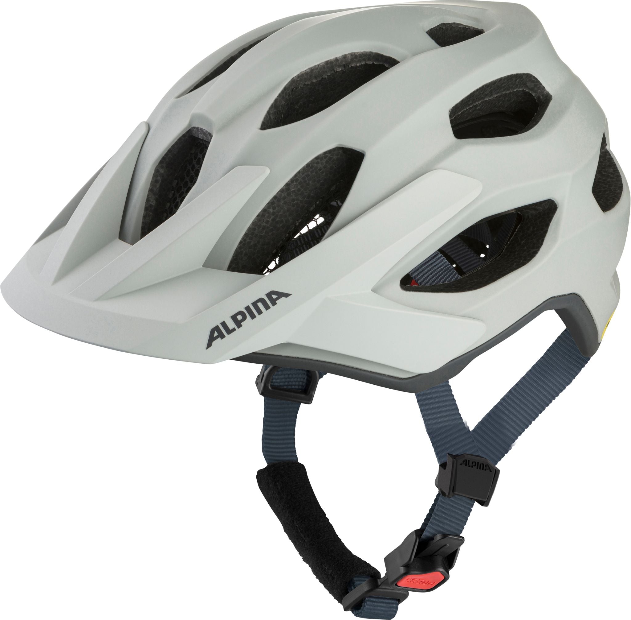 Alpina Apax Mips - Liquid-Life #Wähle Deine Farbe_smoke-grey matt