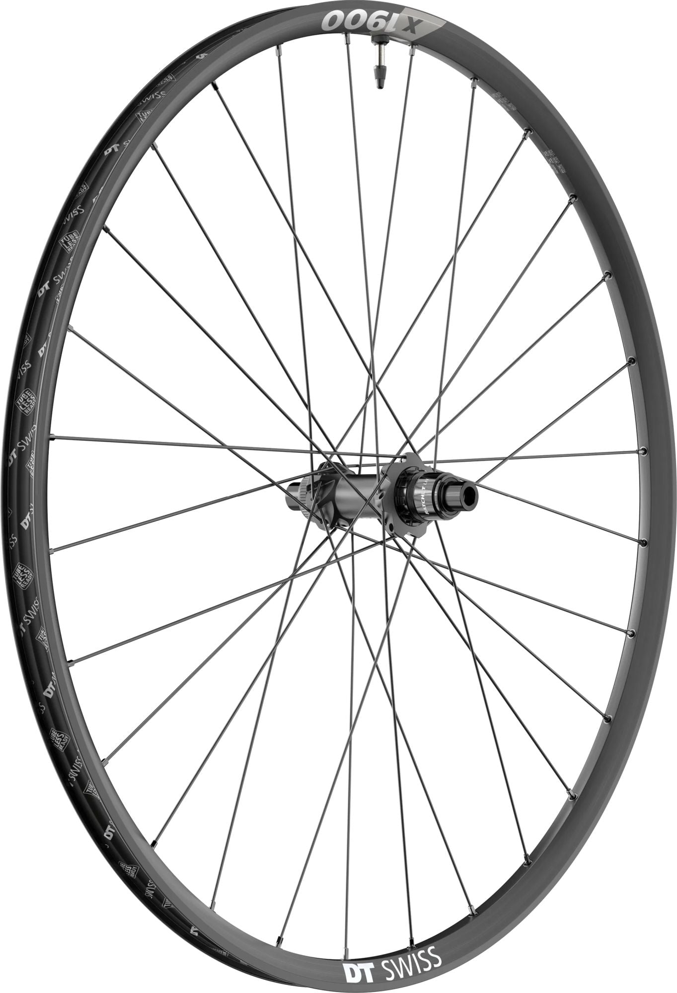 DT SWISS HR DT Swiss X 1900 Spline DB 29" 25mm - Liquid-Life #Wähle Deine Farbe_schwarz