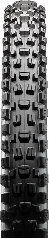 Maxxis Assegai EXO+ 3C MaxxTerra TR EXO