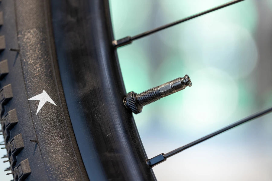 Schwalbe CLIK Valve Conversion Kit SV to SCV - Liquid-Life