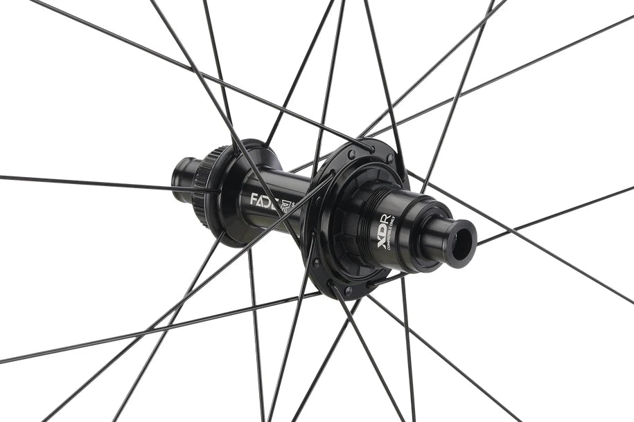 Newmen Laufrad Evolution SL R.35 622 FADE R 12x148 XDR - Liquid-Life #Wähle Deine Farbe_Black