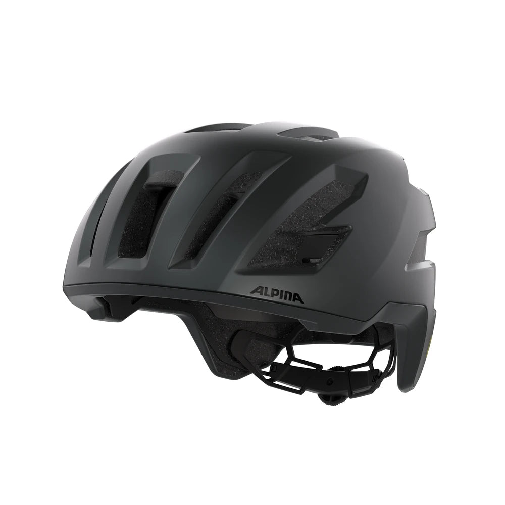 Alpina Taunus Gravel Mips - Liquid-Life #Wähle Deine Farbe_black