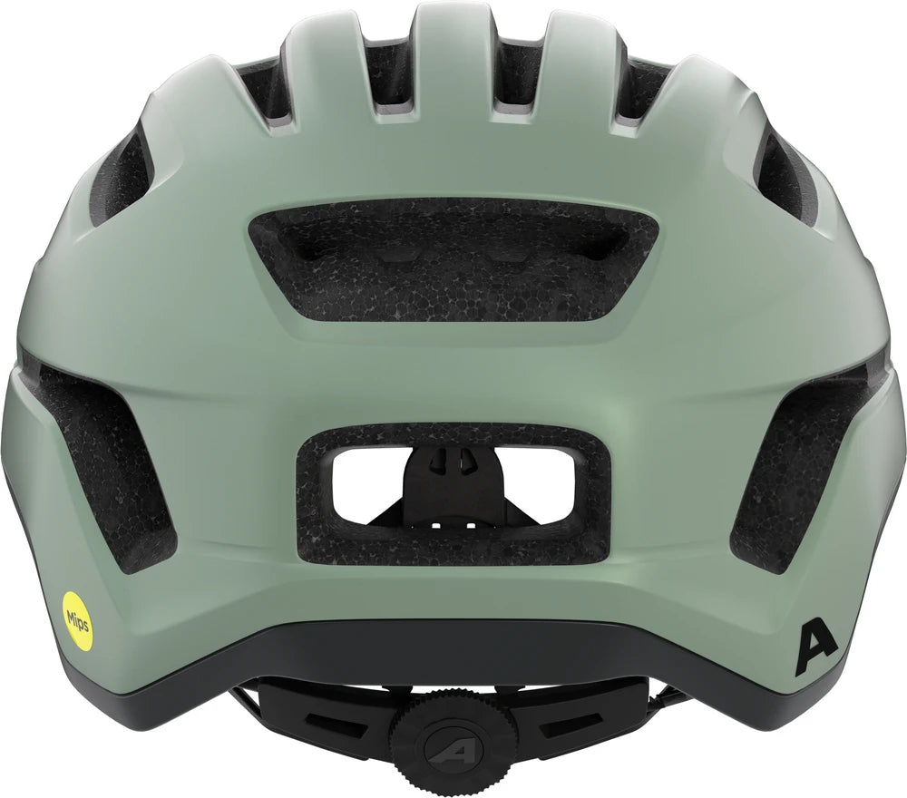 Alpina Paranus Mips - Liquid-Life #Wähle Deine Farbe_willow/green