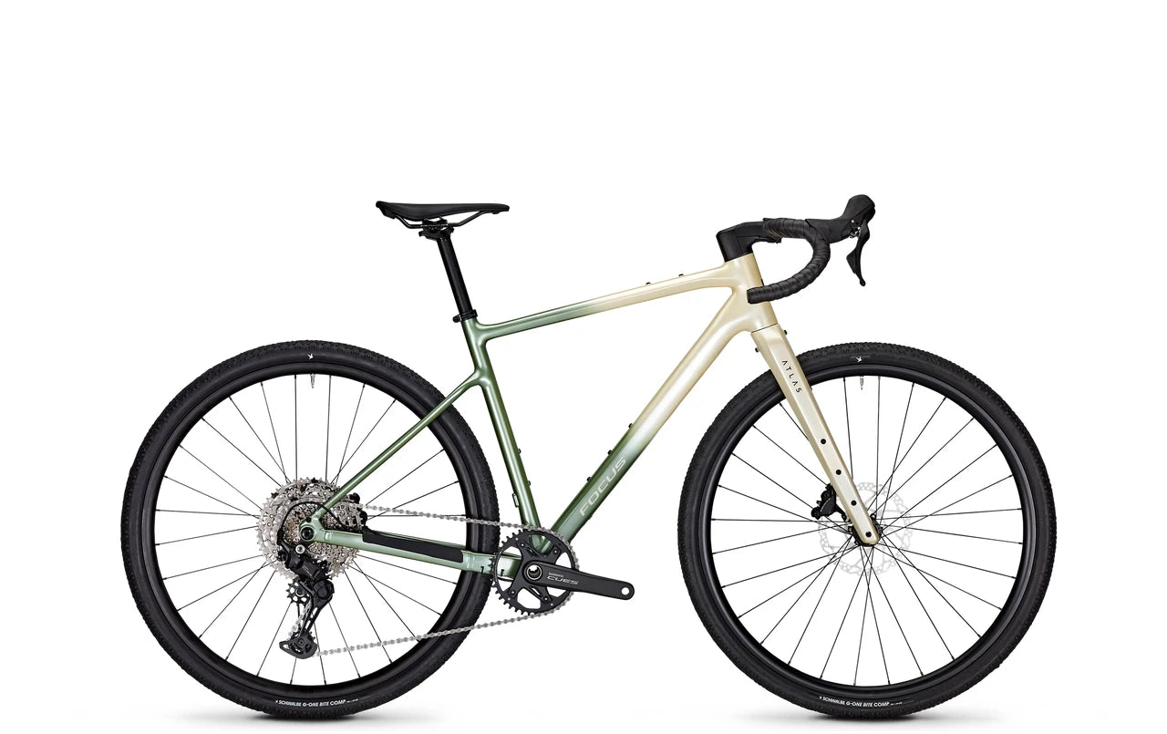 Focus ATLAS 6.7 Champagne/Mintgrey 2026