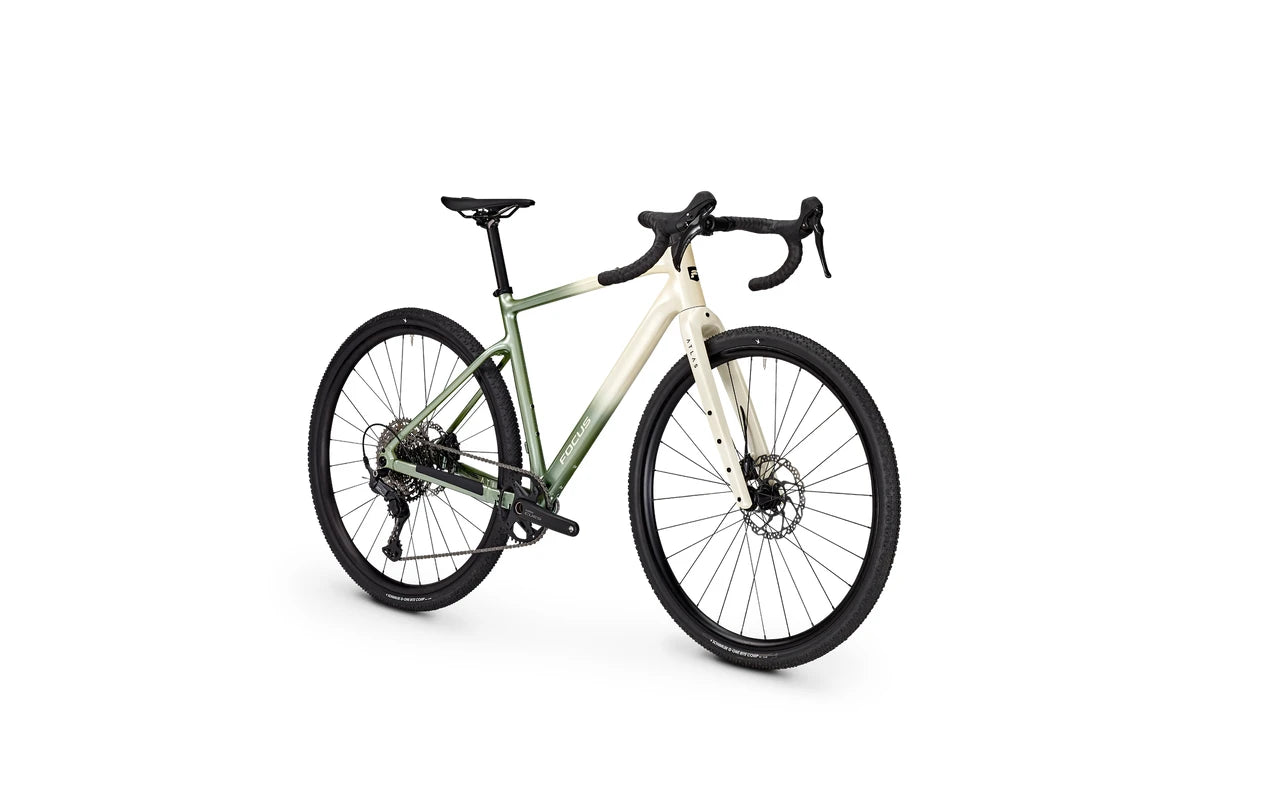 Focus ATLAS 6.7 Champagne/Mintgrey 2026