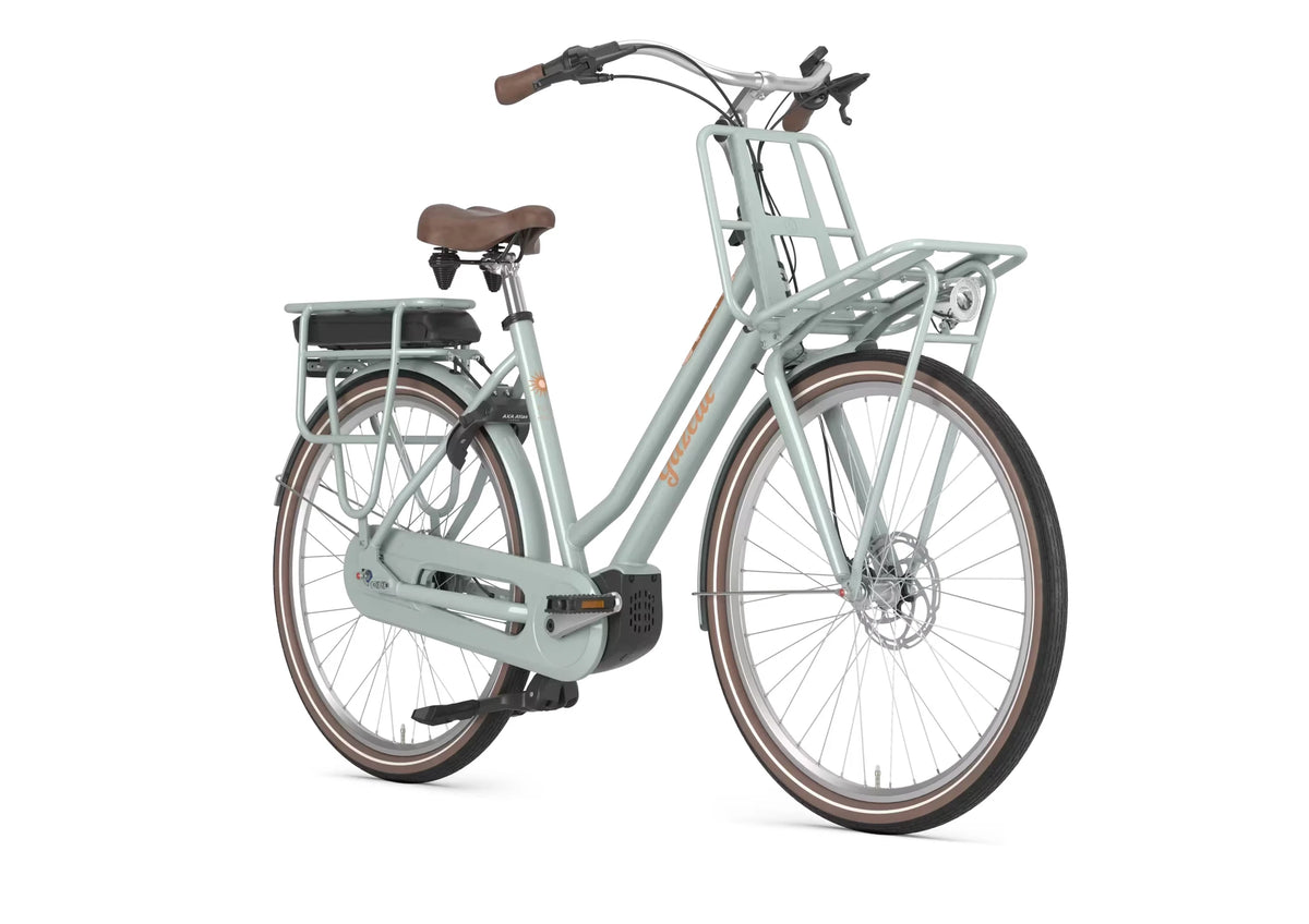 Gazelle Miss Grace C5 500 Wh light olive EE 2027