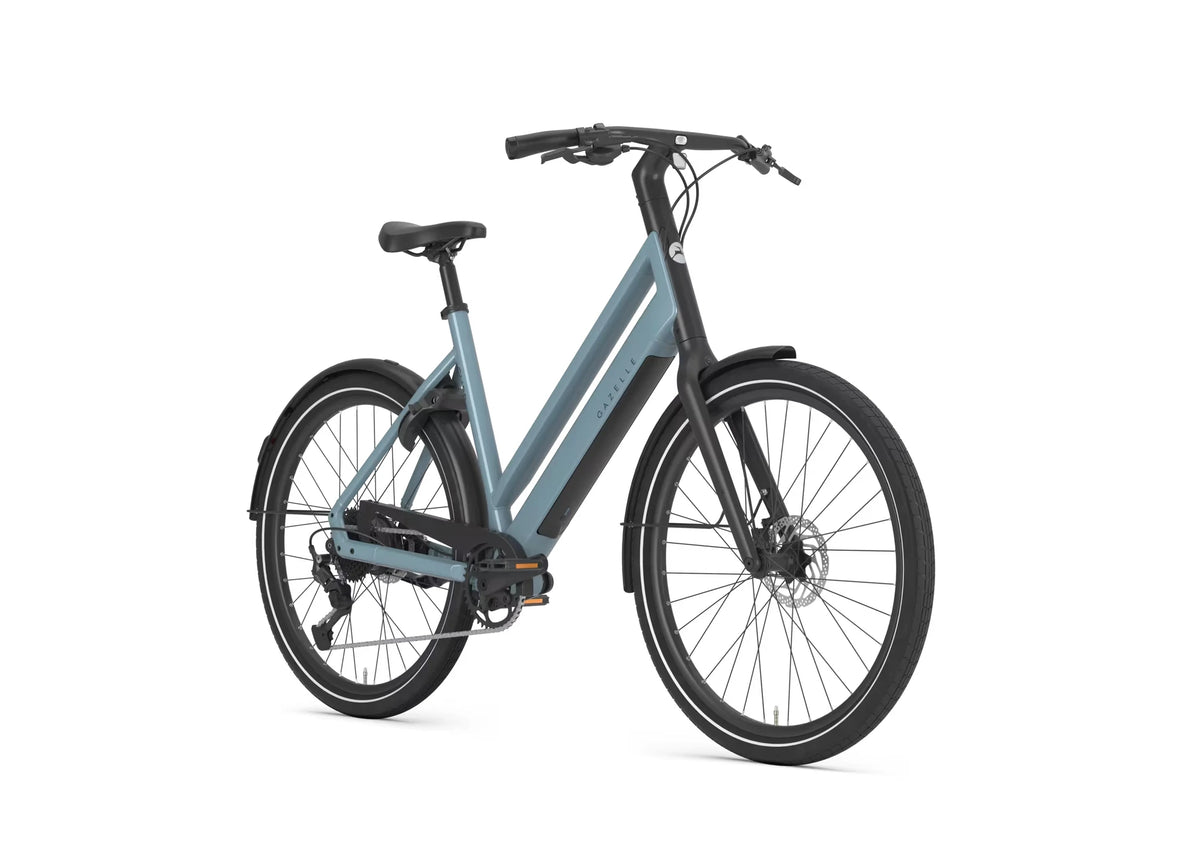 Gazelle Curb T9 360 Wh thunder grey EE 2027