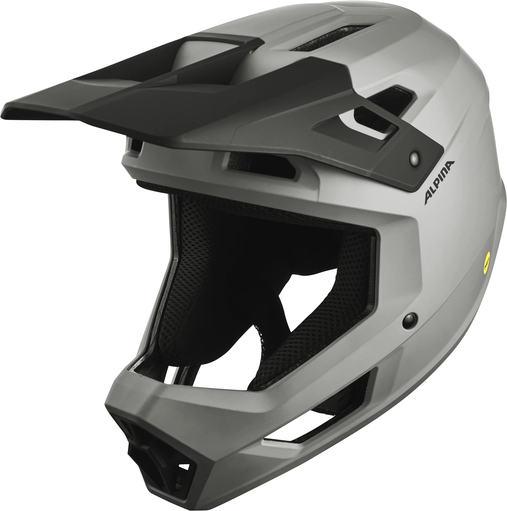 Alpina Pikes Mips - Liquid-Life #Wähle Deine Farbe_smoke-grey matt