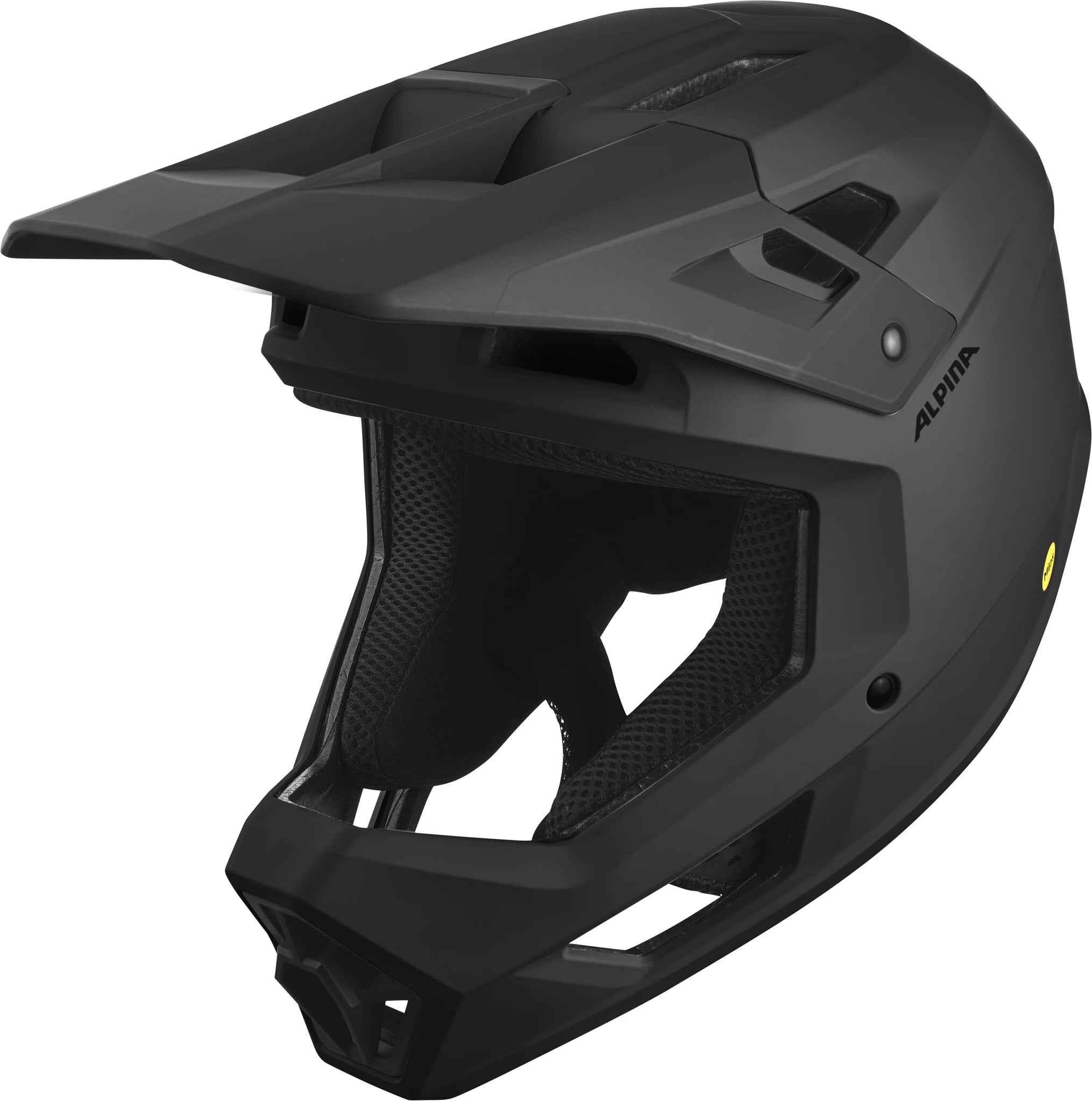 Alpina Pikes Mips - Liquid-Life #Wähle Deine Farbe_black matt