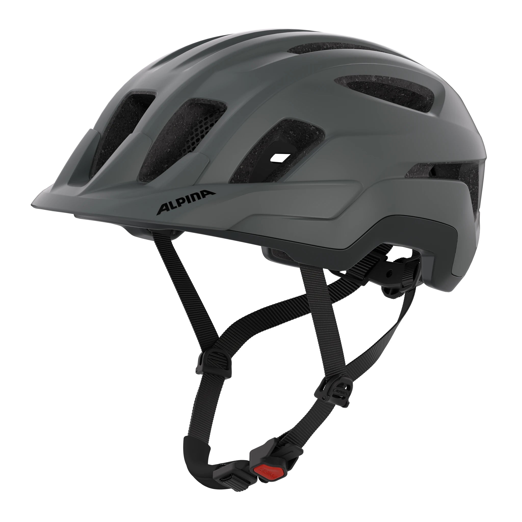 Alpina Paranus - Liquid-Life #Wähle Deine Farbe_midnight-grey matt
