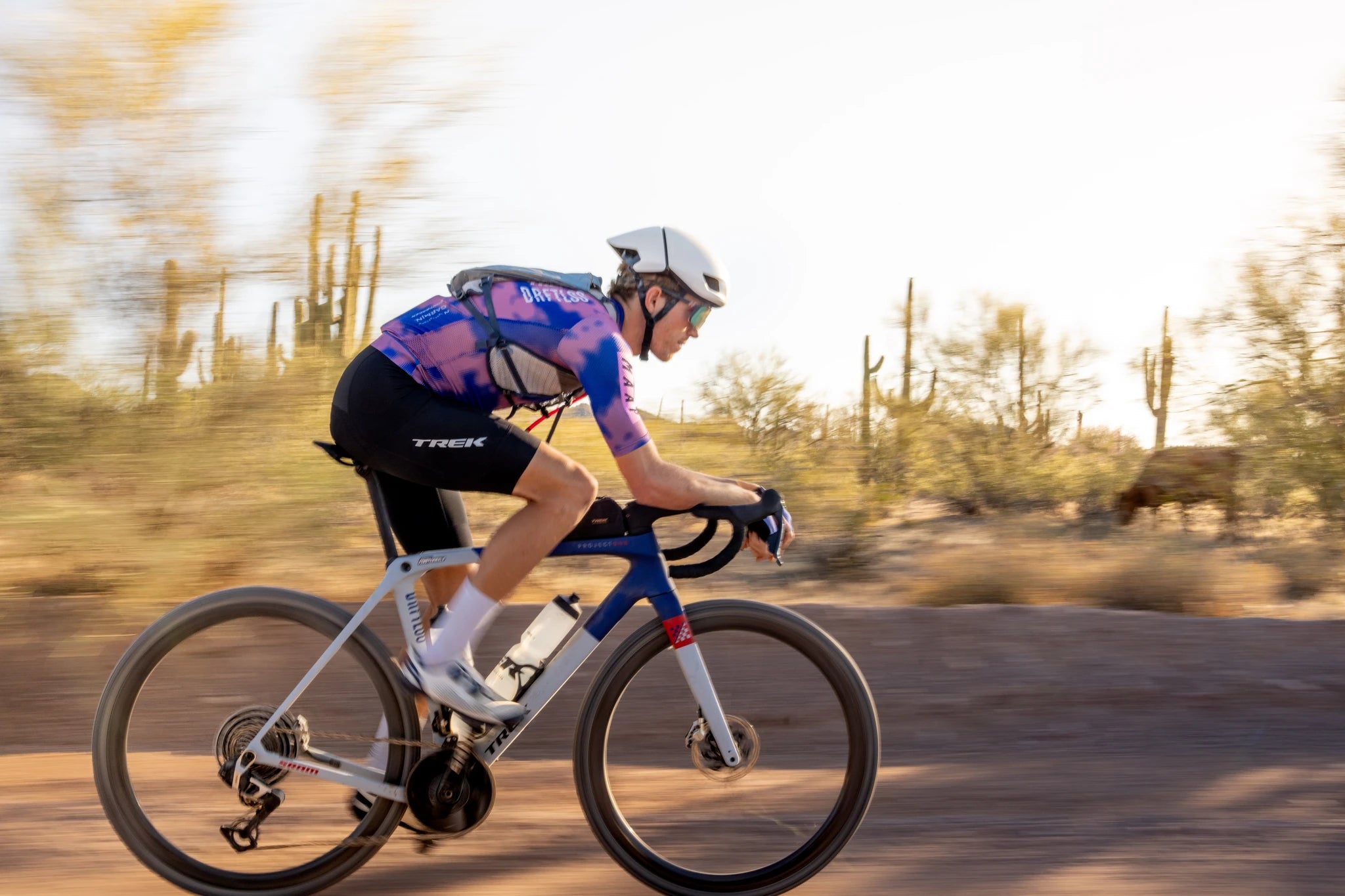 Trek Checkmate
