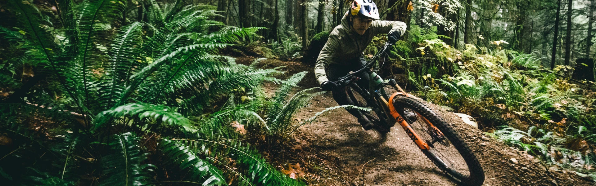 Santa Cruz MTB Beratung
