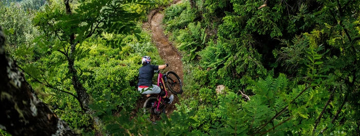 Santa Cruz Mountainbikes beratung & kaufen bei Liquid-Life.de