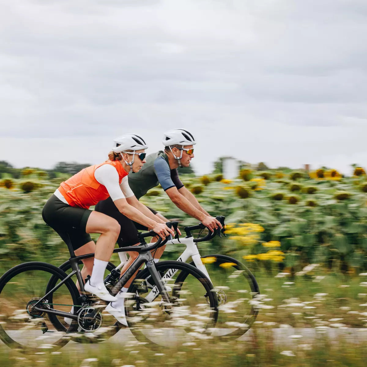 roubaix s works