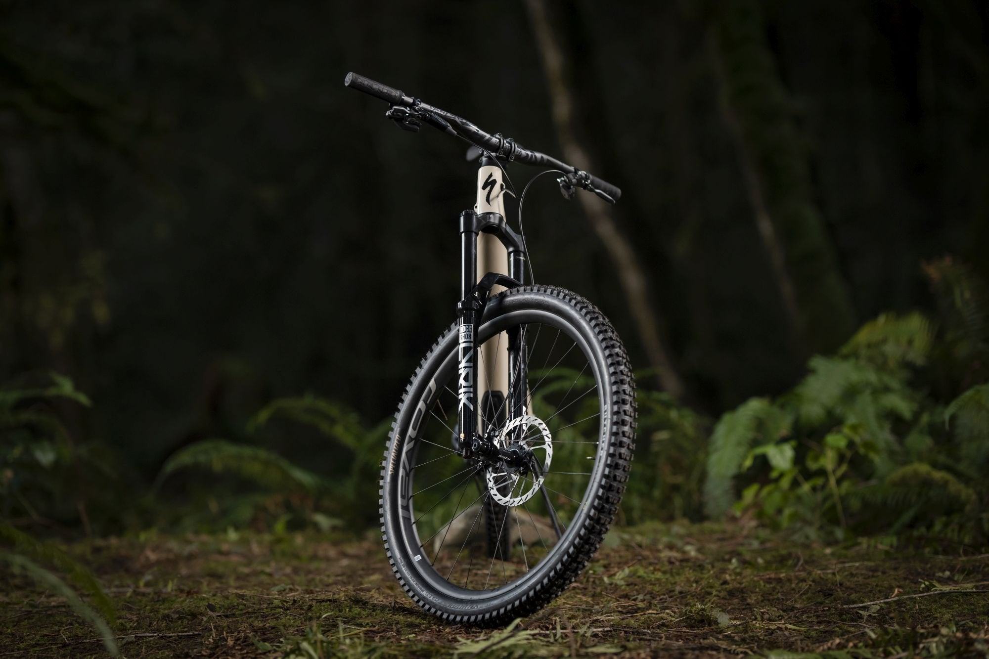 RockShox Lyrik Ultimate RC2 29" 2023 - Liquid-Life #Wähle Deine Farbe_schwarz