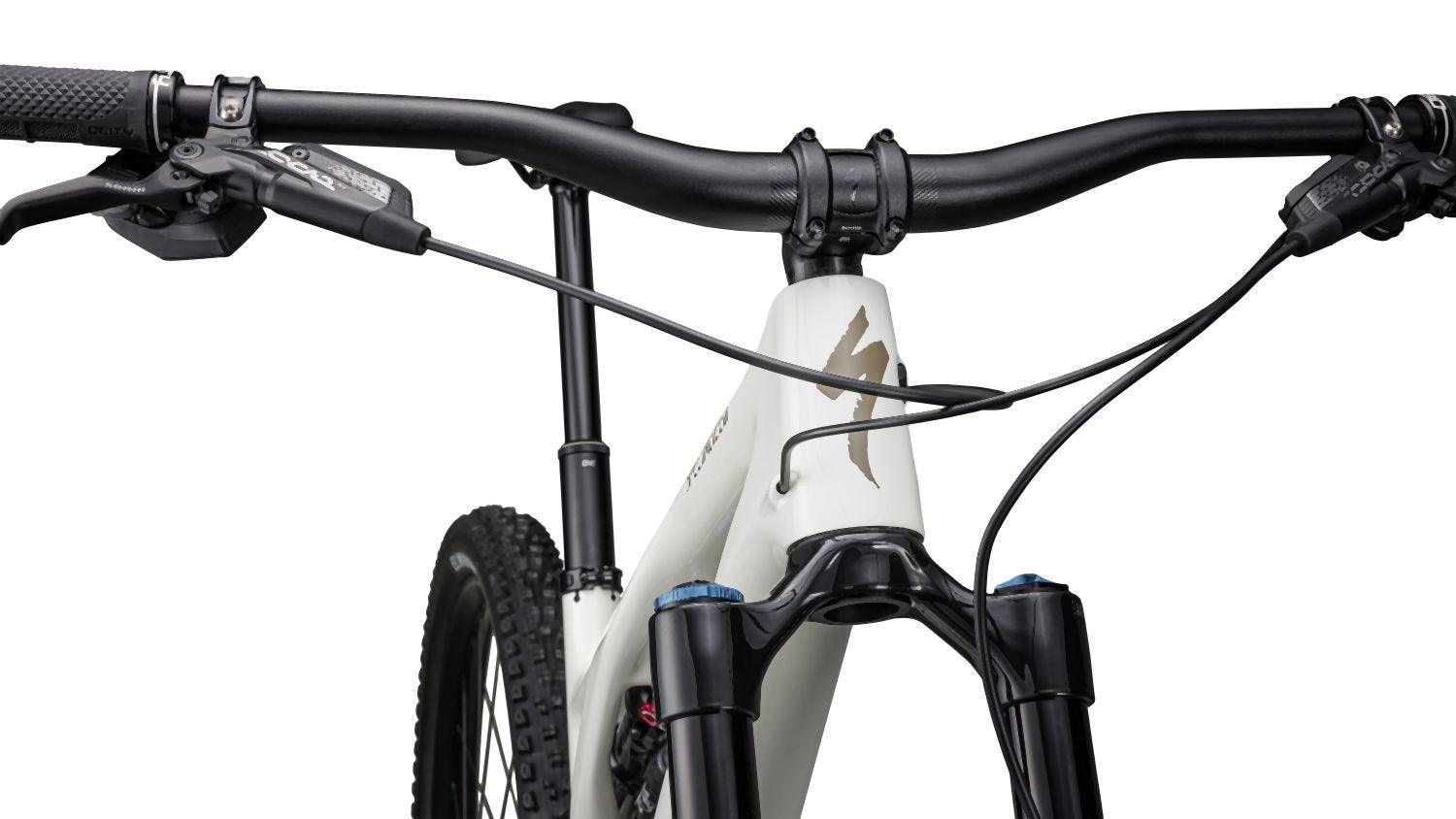 Specialized Stumpjumper Evo Expert birch/taupe 2023 - Liquid-Life