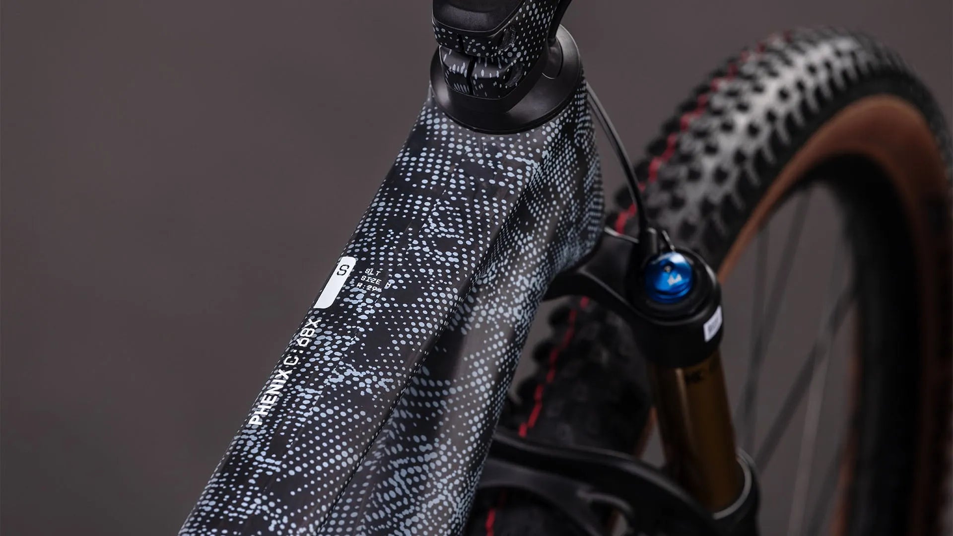 Nahaufnahme eines schwarz-weiß gepunkteten Fahrradrahmens, Modellname "PHENIX C:68X
SLT"; ideal für Mountainbiker.